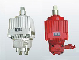 ED50/6D電力液壓推動(dòng)器